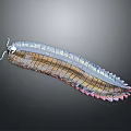 Colorful Millipede With Segmented Body And Shiny Rainbow Exoskeleton Details