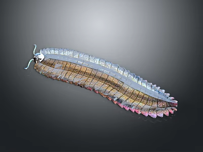 Colorful Millipede With Segmented Body And Shiny Rainbow Exoskeleton Details 3d model