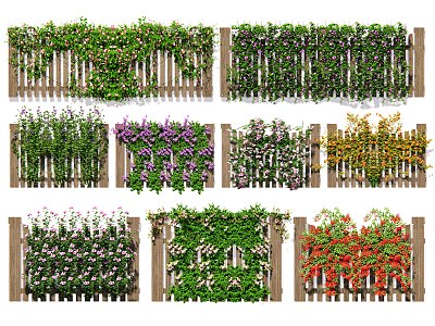 Modern Vine Rose Climbing Vine Plant Green Plant Wall Flower Wall Vine Shrub Vertical Greening model