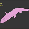 Brown Gecko With Long Body Visible Eyes And Small Limbs On Gray Gradient Background