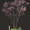 Beautiful Pink Cherry Blossom Tree With Delicate Branches And Flowers 3d model