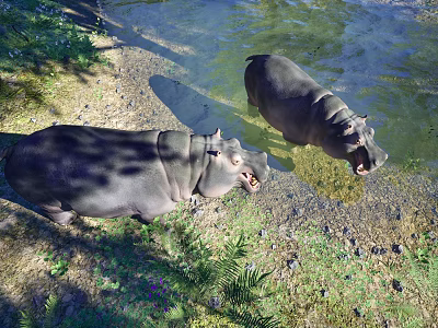 Modern Hippo 3d model Modern Hippo 3d model