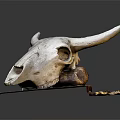 White Bull Skull Display on Textured Brown Base Against Dark Background