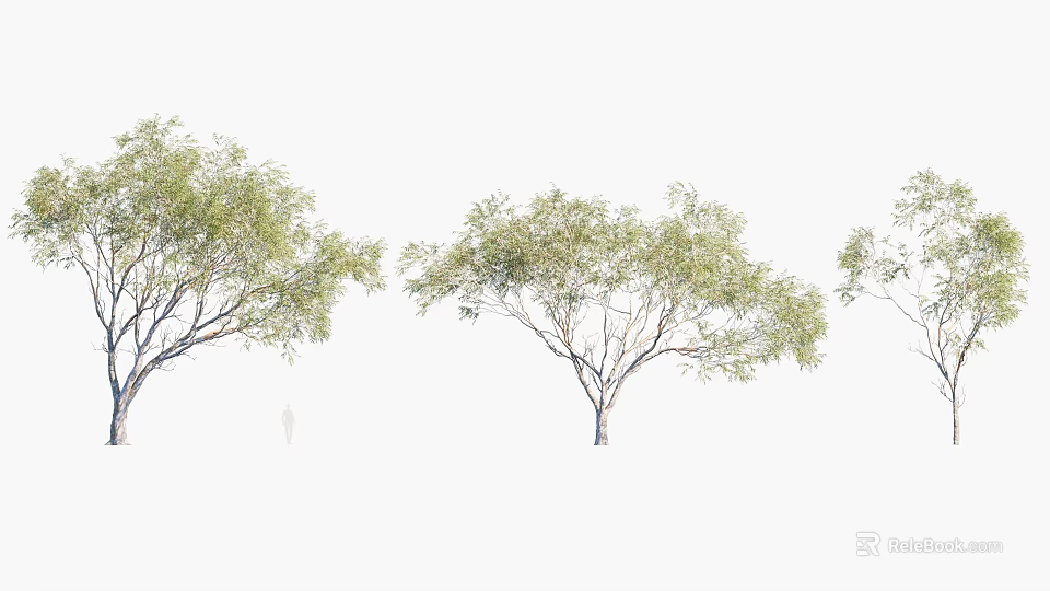 Lush Green Arbor Trees with Strong Trunks and Natural Branch Structure 3d model 