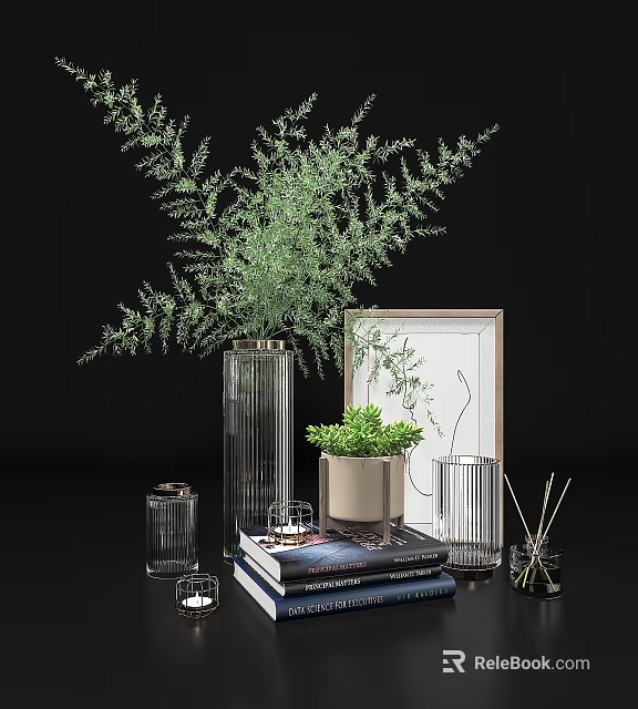 Decorative Ornament Set With Green Plants In Glass Vases Picture Frame Books And Scented Sticks 3d model 