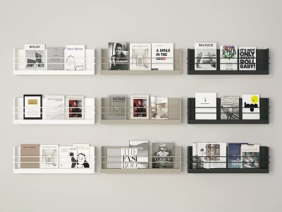 Contemporary Books And Magazines Displayed On Multiple Shelves With Various Cover Designs 3d model