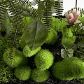 Decorative Ornament Set With Small And Large Glass Greenhouse Terrariums Plants And Stacked Books