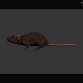 Realistic Brown Fur Mouse Character Model With Pink Ears Tail And Paws