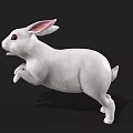White Rabbit 3D Model With Pink Ears Red Eyes In Jumping Pose On Black Background