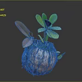 Small Plant With Green And Brown Leaves In Bark Like Spherical Pot On Gray Background