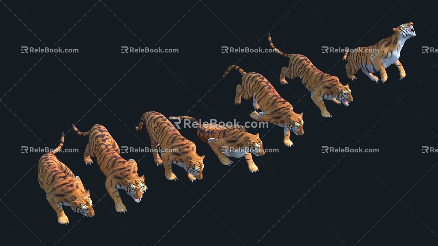 Tiger with animation 3d model