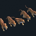 Tiger with animation 3d model