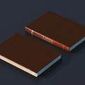 Two Brown Cover Books With Red Fashion Book Label On Dark Background