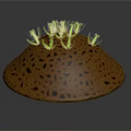 Honeycomb Textured Brown Base With Green Grass Like Plants On Top