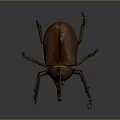 3D Rendered Brown Beetle With Long Horn And Detailed Legs On Gray Background