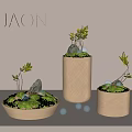 Bonsai Potted Plants with Round Cylindrical Pots Small Foliage Rocks Moss and Transparent Glass Balls