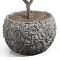 Bonsai Olive Tree Plant With Carved Decorative Pot Green Leaves And Twisted Branches