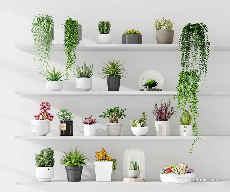 Multi Tiered Shelf Display with Various Potted Plants and Hanging Greenery in Different Flower Pots 3d model 