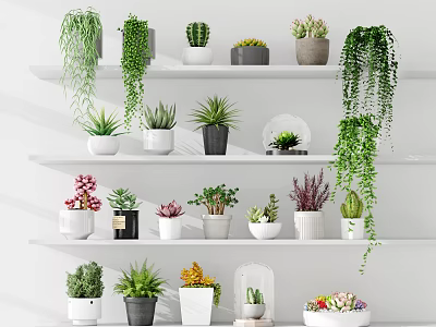 Multi Tiered Shelf Display with Various Potted Plants and Hanging Greenery in Different Flower Pots 3d model