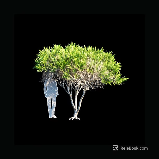 Tall Arbor With Dense Green Foliage And Human Silhouette Against Black Background 3d model 