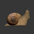 3D Rendered Snail With Spiral Brown Shell And Light Brown Textured Body