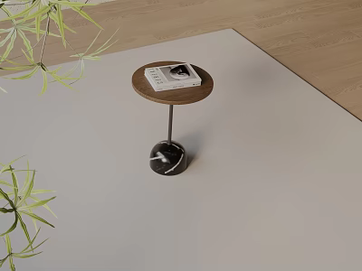 Round Side Table With Wooden Top Black Marble Base Magazine And Green Plants In Room 3d model
