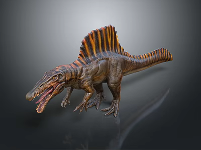 Spinosaurus Dinosaur 3D Model Standing Pose With Open Mouth And Orange Striped Sail 3d model