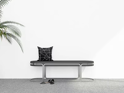 Modern Minimalist Indoor Scene With Black Bench Geometric Pillow Shoes And Palm Plant 3d model