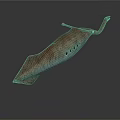 Brown Spotted Ray With Flat Body And Small Holes On Dorsal Surface
