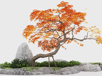 Garden Landscape with Curved Tree Orange Red Leaves Rocks and Green Plants 3d model