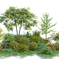 Various Types of Shrubs in Garden Landscape With Green Foliage and Colorful Flowers