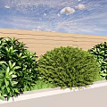 Green Leafy Shrubs Along Wooden Fence Under Blue Sky With Grass