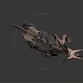 Modern Dinosaur Skeleton Triceratops Skeleton Triceratops Skeleton 3d model