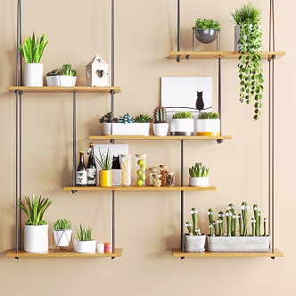 Modern Green Plant Laminated Board Rack Cactus Green Dendropteria Fleshy 3d model