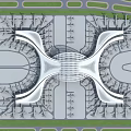 Modern Airport Terminal Building With Streamlined Roof Runways And Green Surroundings