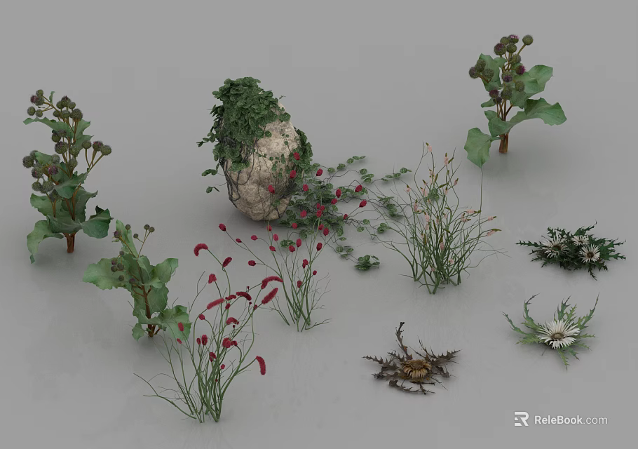 Diverse Garden Plants Featuring Green Foliage Red Flowers And Vines On Stone 3d model 