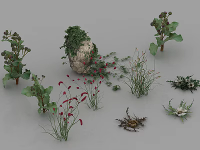 Diverse Garden Plants Featuring Green Foliage Red Flowers And Vines On Stone 3d model