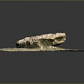 Natural Stone Piece On Wooden Circular Platform With Grass And Small Stones