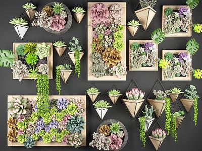 Modern hanging basket succulous hanging painting plant frame plant wall flower wall 3d model