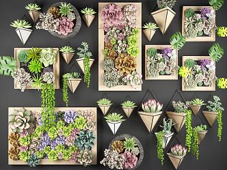 Modern hanging basket succulous hanging painting plant frame plant wall flower wall 3d model