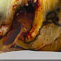 Delicious Swirled Braided Pastry With Red Berry Filling Glazed Surface And Toasted Nut Sprinkles