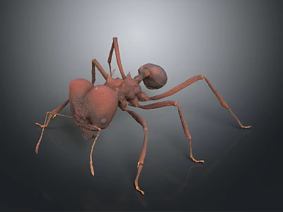 Detailed 3D Model Of Reddish Brown Ant With Legs On Dark Background 3d model