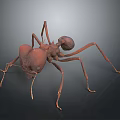 Detailed 3D Model Of Reddish Brown Ant With Legs On Dark Background