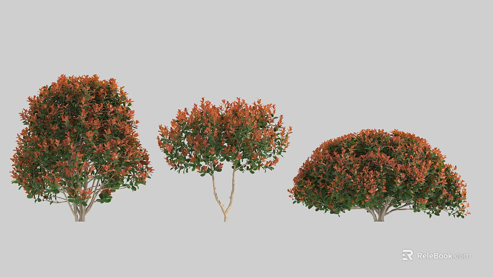 Ornamental Garden Shrubs With Orange Red And Green Foliage In Three Different Shapes 3d model 