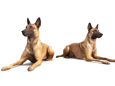 Modern Dog Pet Dog 3d model