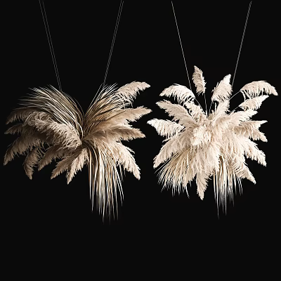 Hanging Cream White Feathery Dried Flowers Decorative Arrangement on Black Background 3d model