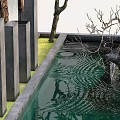 Garden Ornament With Water Basin Rippling Surface Gray Pillars Dry Branches And Green Mossy Ground