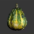 Vibrant Green and Yellow Squash with Bumpy Surface and Unique Texture 3d model