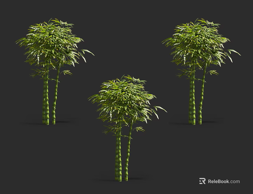 Lush Green Bamboo Plants With Tall Stems And Fresh Leaves In Natural Setting 3d model 