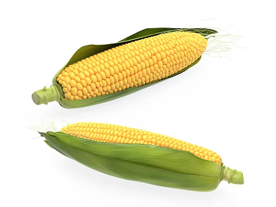 Fresh Ripe Yellow Corn Ears With Green Husks Isolated On White Background 3d model